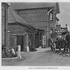 Whiteleys Farms: Loading up afternoons milk for Westbourne Grove (b / w photo)