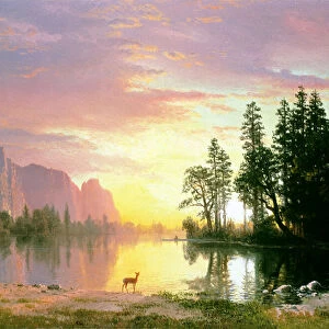 Yosemite National Park paintings