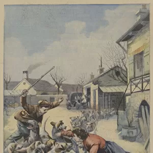 A young girl being attacked by a pack of hounds is saved by two courageous neighbours (colour litho)