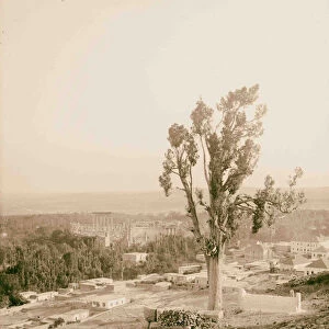 Baalbek General view 1900 Lebanon Baʻlabakk