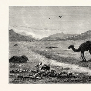 A Camel Left to Die, an Incident in the Afghan War, Afghanistan