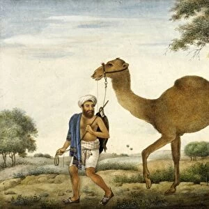 Castes and tribes of India, Ribari, a caste of camel-men