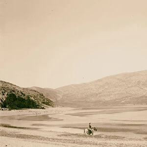 cedars Baalbek Lake Yammuneh 1900 Lebanon Yammune