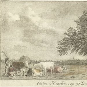 Cows in a pasture, print maker: Cornelis van Noorde, 1766