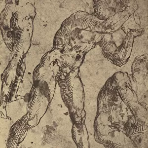Drawing Male Nude Figure Studies Raphael Roger Fenton
