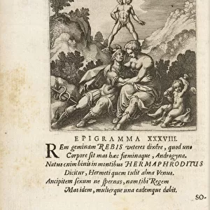 Emblema XXXVIII Rebis ut Hermaphroditus nascitur ex