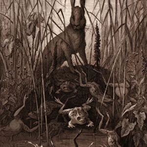 THE HARE AND THE FROGS, BY GUSTAVE DORE, 1832 - 1883, French
