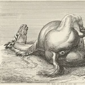 Killed horse, Jan van Huchtenburg, Adam Frans van der Meulen, unknown, 1674 - 1733