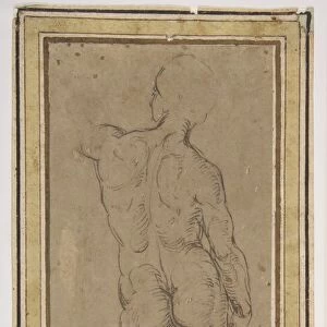 Male Figure Rear Drawing Michelangelo 1508-1600