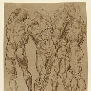 Nude Studies Bartolomeo Passarotti Italian 1529