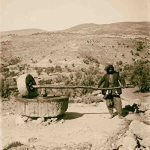 Primitive olive crusher 1900 Middle East Israel