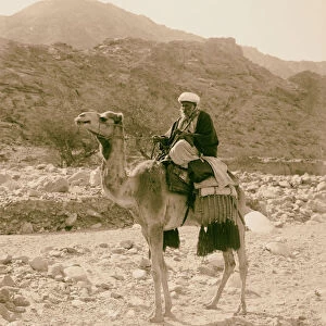 Sinai Red Sea Tor Wady Hebran Old bedouin mounted