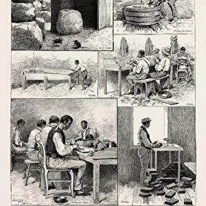 Sketches in a Tobacco Factory in Jamaica, 1889