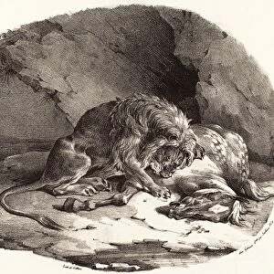 Tha odore Gericault (French, 1791 - 1824), Horse Devoured by a Lion (Cheval devore