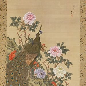 þëíõ©╣Òü½Õ¡öÚøÇÕø│ Peacocks Peonies Edo period