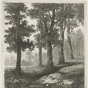 View of a forest, Hermanus Jan Hendrik van Rijkelijkhuysen, 1823 - 1883
