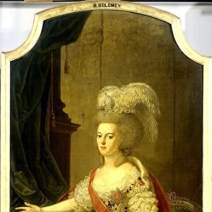 Wilhelmina of Prussia, Consort of Prince William V, Frederika Sophia Wilhelmina
