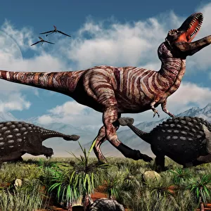 Ankylosaurus dinosaurs defend themselves against a T-Rex