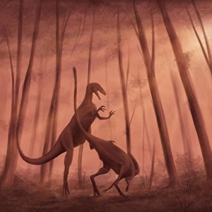 Two Bicentenaria argentina dinosaurs fighting in the woods
