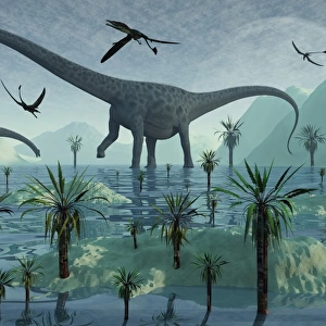 Diplodocus dinosaurs during the Jurassic period of time