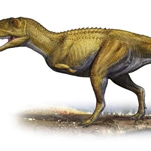 Ekrixinatosaurus novasi, a prehistoric era dinosaur