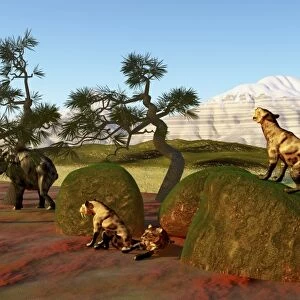A family of Saber Toothed Tigers watch a herd of Woolly Mammoths