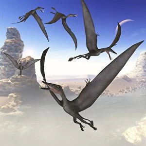 A group of Dorygnathus predatory reptiles fly above a Jurassic landscape