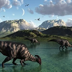 A group of Parasaurolophus dinosaurs feed from a freshwater lake