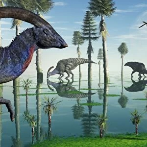 A group of Parasaurolophus duckbill dinosaurs feed from a lake