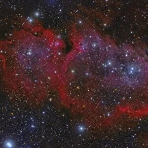 The Heart Nebula in the constellation Cassiopeia