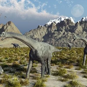 A herd of Camarasaurus sauropod dinosaurs during Earths Jurassic period