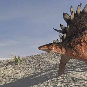 Kentrosaurus walking across a barren landscape