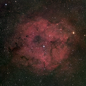 The large IC 1396 emission nebula complex