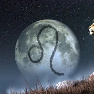 Leo is the fifth astrological sign of the Zodiac