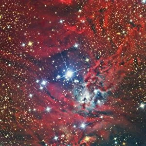 NGC 2264, the Christmas Tree Cluster and nebula