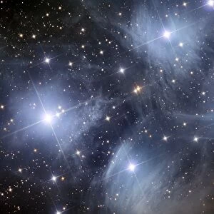 The Pleiades, an open cluster of stars in the constellation Taurus