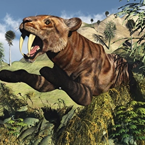 A Sabre Tooth Tiger springs its trap as it leaps out at any ususpecting prey