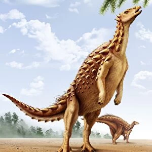 A Scelidosaurus standing on its hind legs eating conifer leaves