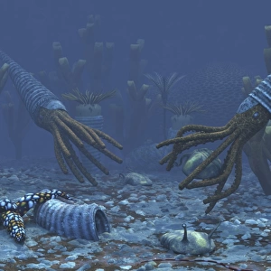 Squid-like Orthoceratites attempt to make meals of trilobites