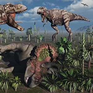 Two T. Rex dinosaurs confront each other over a dead Triceratops