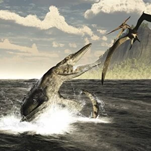 A Tylosaurus jumps out of the water, attacking a Pteranodon