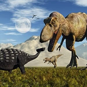 Tyrannosaurus Rex dinosaurs confronting a lone Ankylosaurus