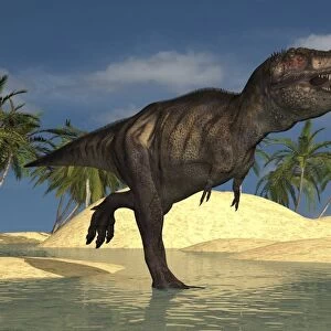 Tyrannosaurus Rex running through shallow water