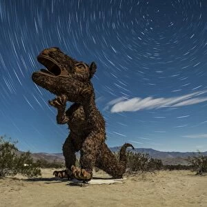 Tyrannosaurus rex sculpture against a backdrop of star trails, California