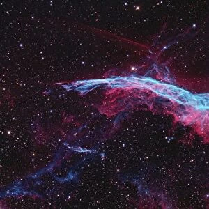 Witchs Broom Nebula