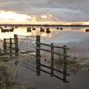 Flooded farmland with hay bales on Tadham Moor, Somerset Levels, England, December 2012