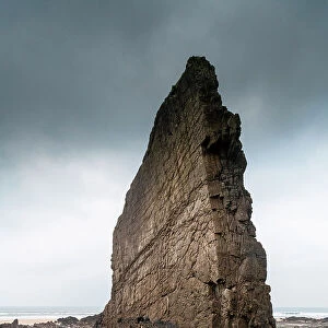 Sea stack of vertically bedded, Carboniferous age, Bude sandstone. This bed or horizon is more resistant to erosion than the surrounding layers and remains standing, but will eventually fall, Bude, Cornwall, UK. January, 2022