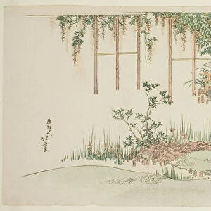 Admiring wisteria, Japan, c. 1801 / 07. Creator: Hokusai