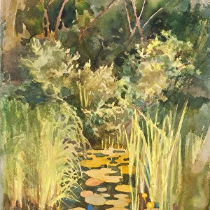 Backwater in Abramtsevo, c. 1888. Artist: Polenova, Elena Dmitryevna (1850-1898)