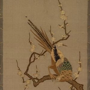 Birds in a Tree, 18th-19th century. Creator: Unknown